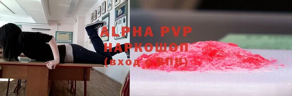 СК Алзамай