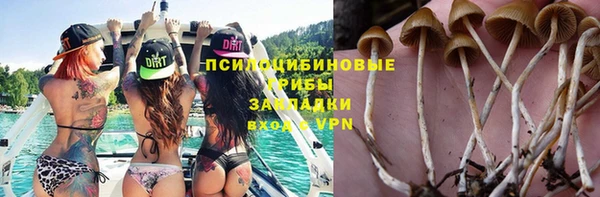 СК Алзамай